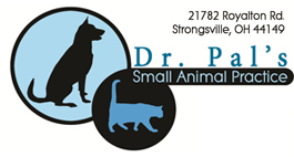Dr Pal's Small Animal Practice