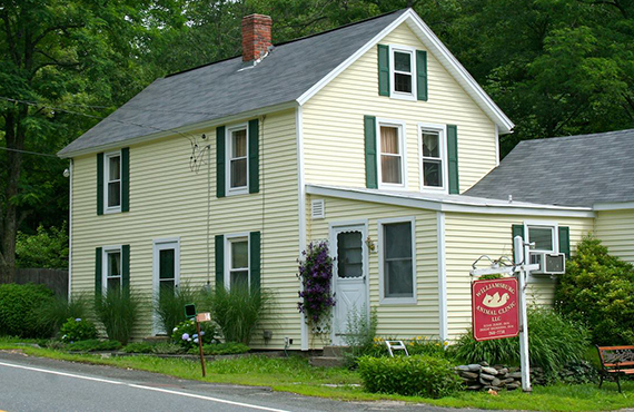 Williamsburg Animal Clinic Veterinarian