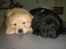 Cuteness!