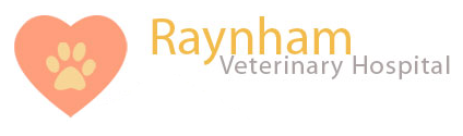 Raynham Veterinary Hospital, Inc.