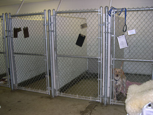 Kennel Area