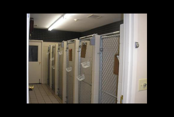 Kennel