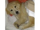 Lilly