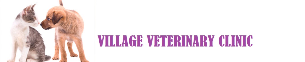 Village Veterinary Clinic