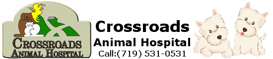 Crossroads Animal Hospital