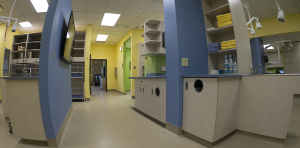 Another view of the working area of the hospital