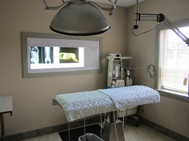 Our Surgical Suite
