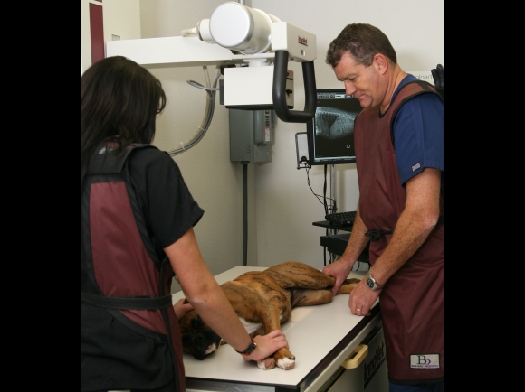 Digital Radiography