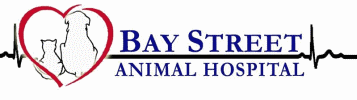 Bay Street Animal Hospital