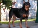 Gidget
