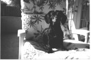 Zeena
