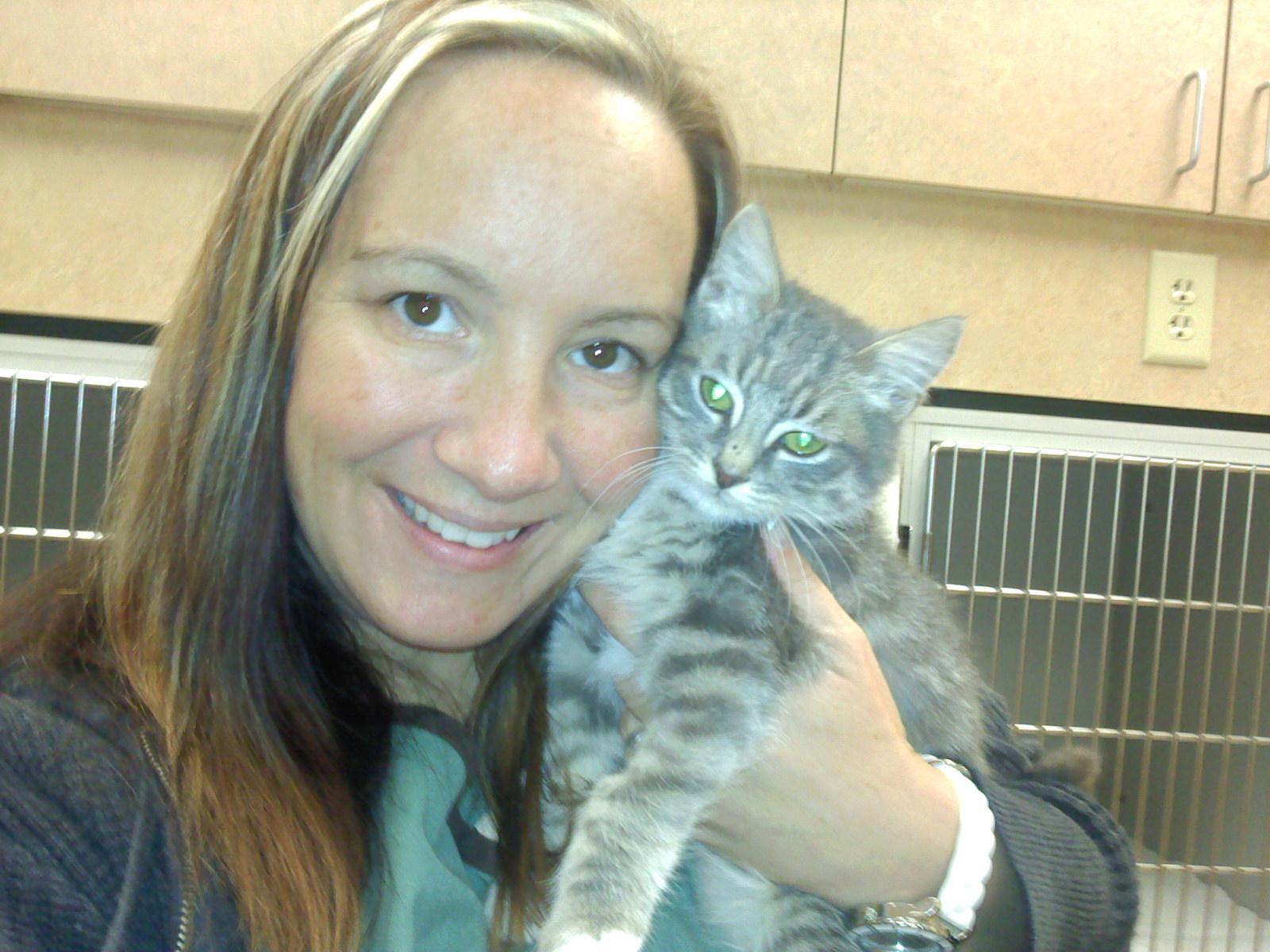 Caring Veterinarians in the Glendale, AZ, Area