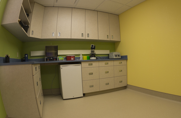 Reproduction area