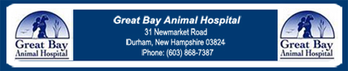Great Bay Animal Hospital