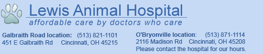 Lewis Animal Hospital