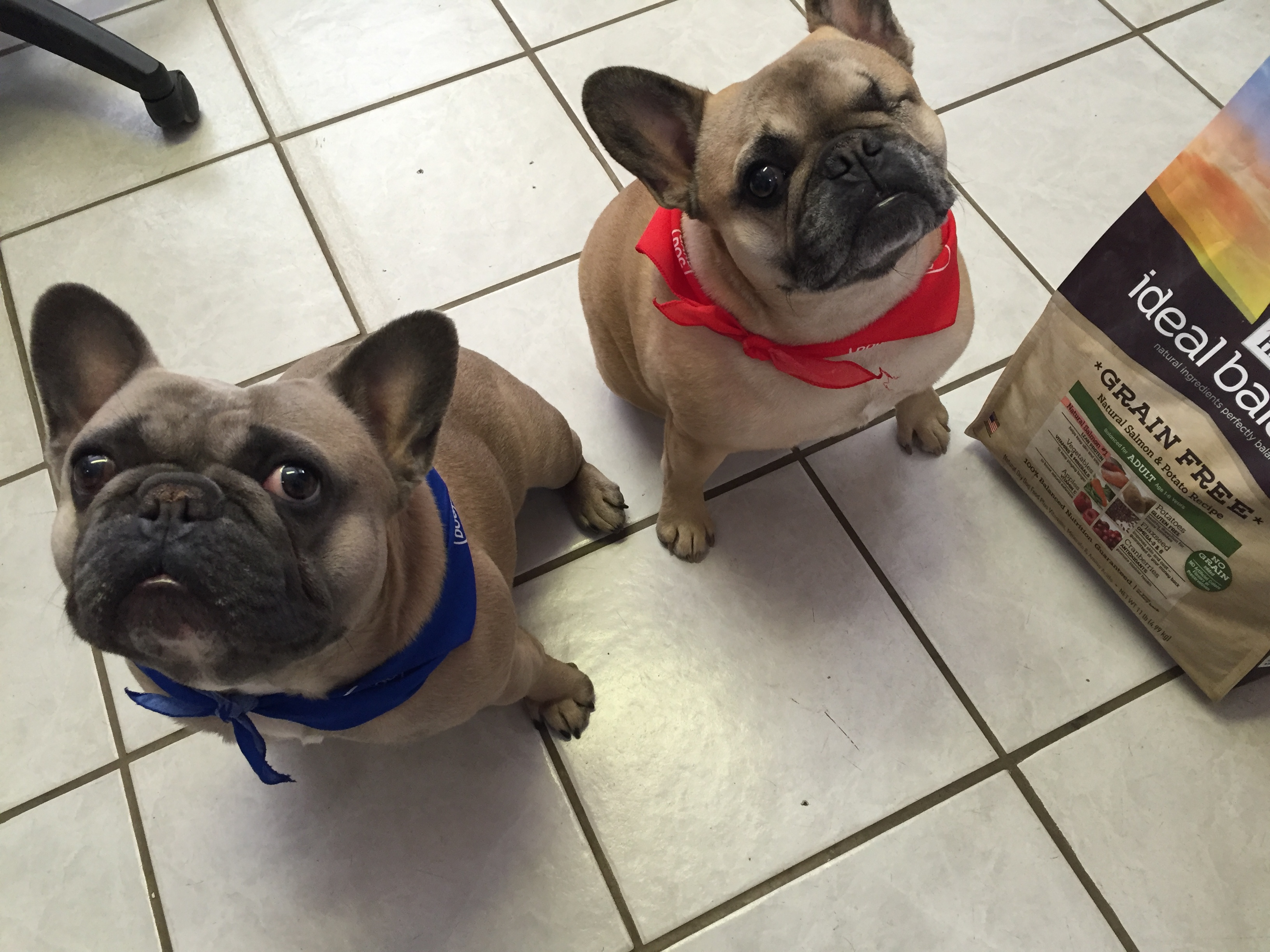 Hays Veterinary Hospital