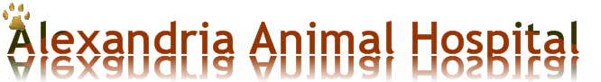 Alexandria Animal Hospital