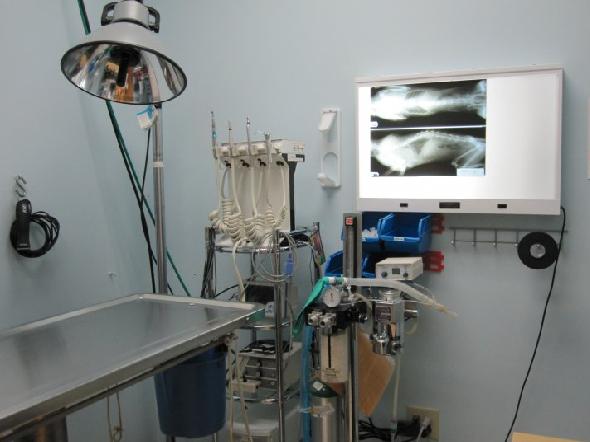 Surgery