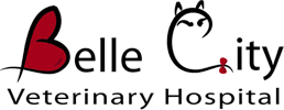 Belle City Veterinary Hospital