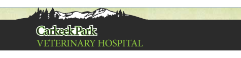 Carkeek Park Veterinary Hospital