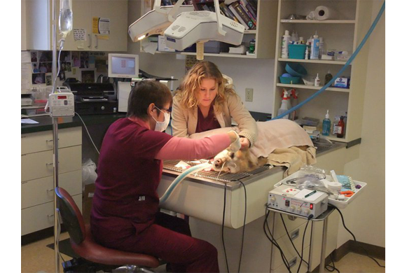 Lauren and Dawn performing a dental cleaning