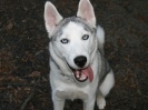 Myshka