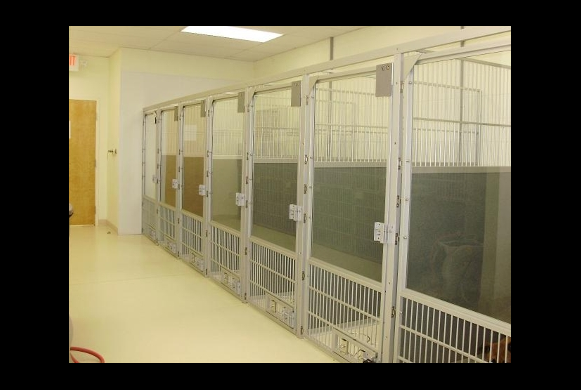 Kennel Runs