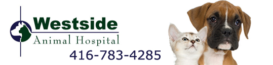 Westside Animal Hospital