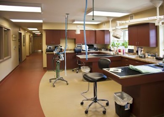 TREATMENT AREA