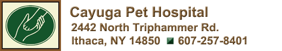 Cayuga Pet Hospital