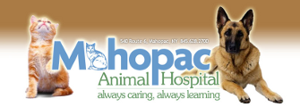 Mahopac Animal Hospital