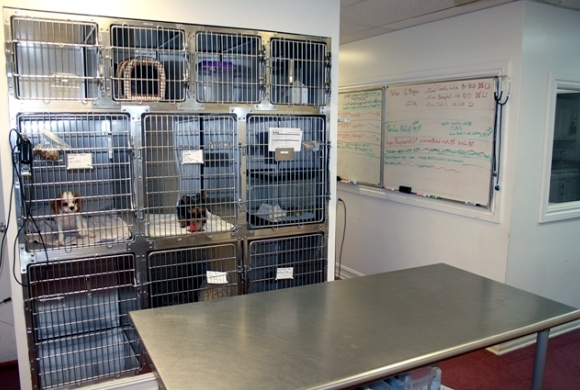 Outpatient Treatment Area