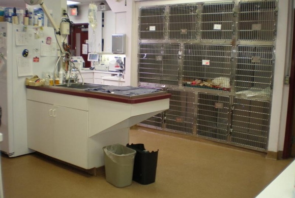 Treatment Area