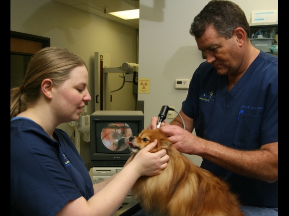 State of the Art Diagnostic Services