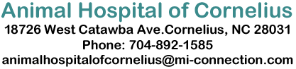 Animal Hospital of Cornelius