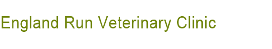 England Run Veterinary Clinic