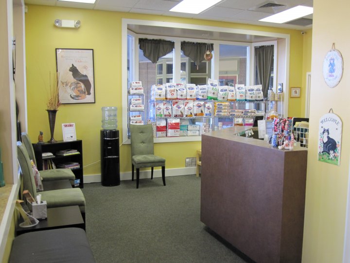 Our friendly, feline oriented reception area