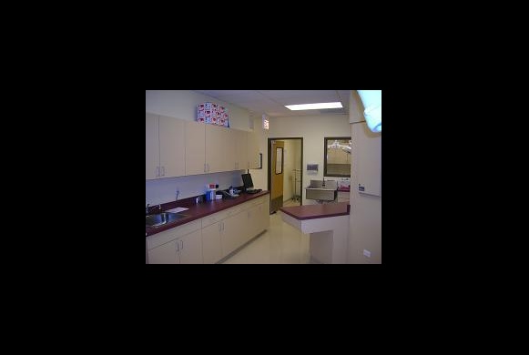Treatment Area