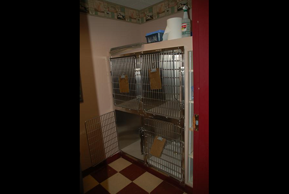 Our Isolation Room