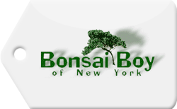 Bonsai Boy of New York Coupon Code