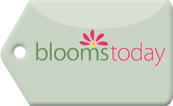 Blooms Today Coupon Code