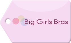 BiggerBras.com Coupon Code