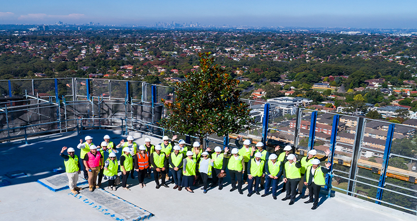 A ceremonial magnolia tree marks the occasion of Langston Tower in Epping, Australia, topping out. Image courtesy of Cbus Property.