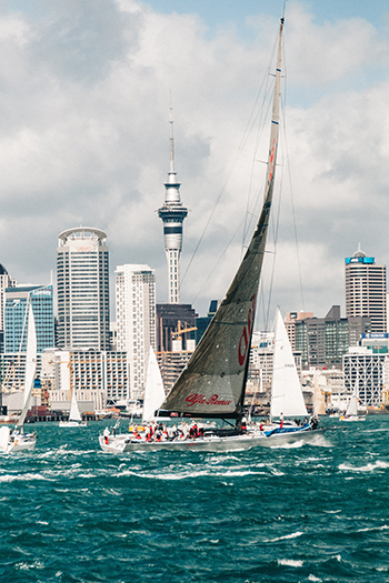 Yachts on a windy day in Hauraki Gulf in front of the Auckland skyline. Photo by Matthew Buchanan on Unsplash