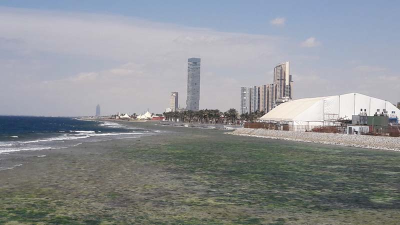 Photo courtesy of Tahir