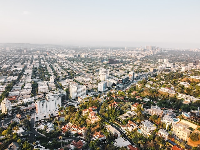 Beverly Hills. Photo by Ariel Blanco on Unsplash