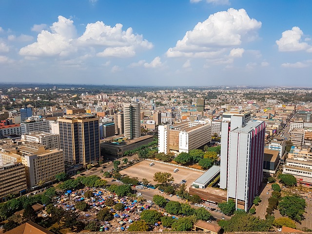 Nairobi. Image by Nina Stock from Pixabay