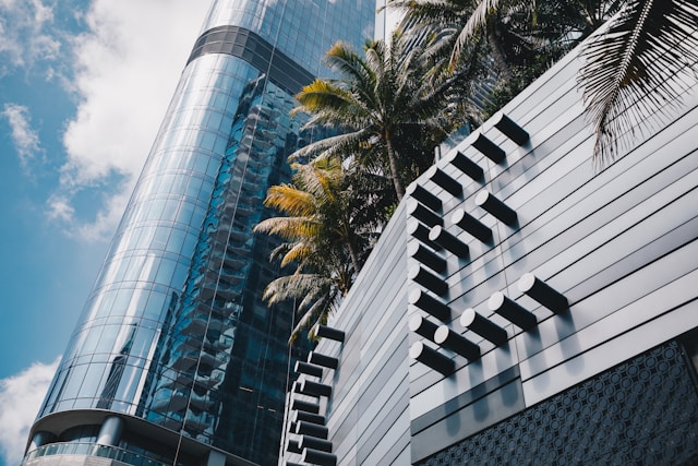 Image by Austin Hervias on Unsplash