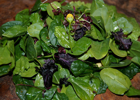 The Pantry by Stone Hollow Farmstead Deal Image