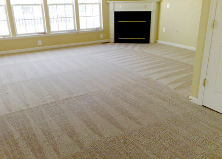 Guarantee Carpet Cleaning and Dye Company Deal Image
